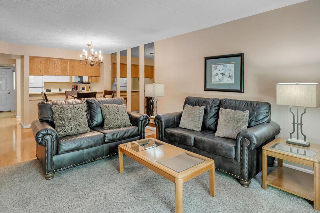 Park Place Condos ガトリンバーグ エクステリア 写真
